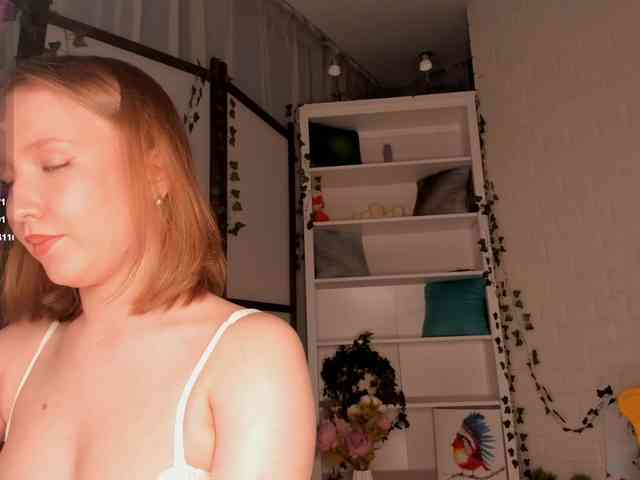 EvaSweet webcam