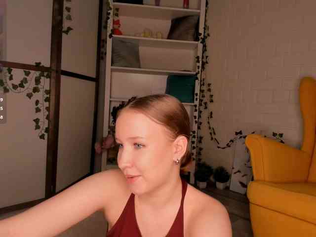 EvaSweet webcam