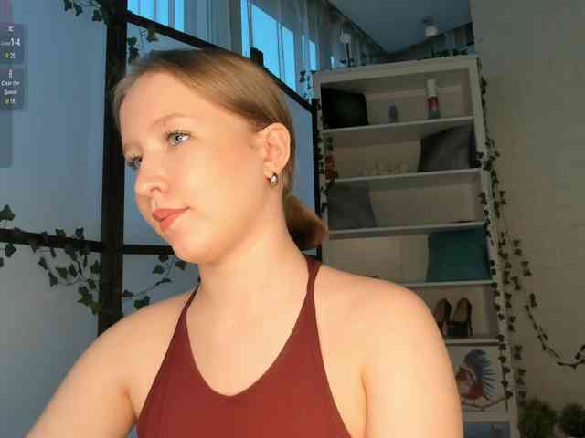 EvaSweet webcam