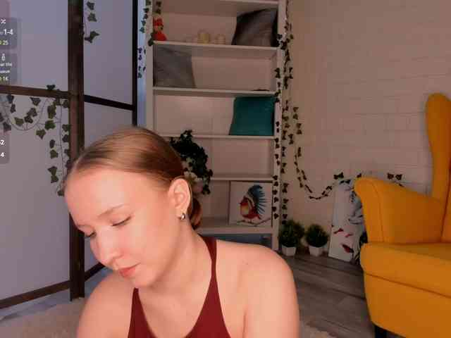 EvaSweet webcam