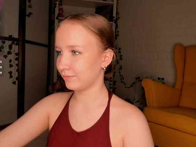 EvaSweet webcam