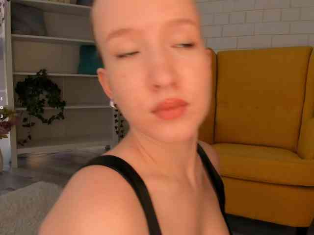 EvaSweet webcam