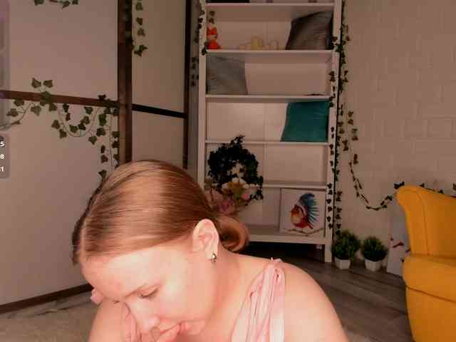 EvaSweet webcam