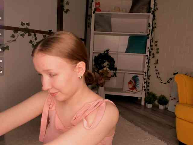 EvaSweet webcam