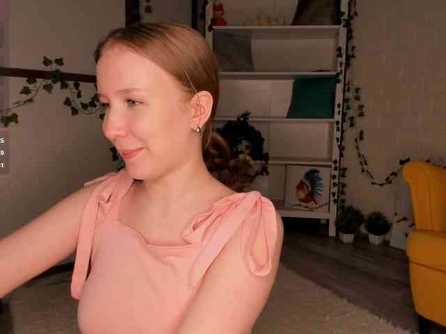 EvaSweet webcam