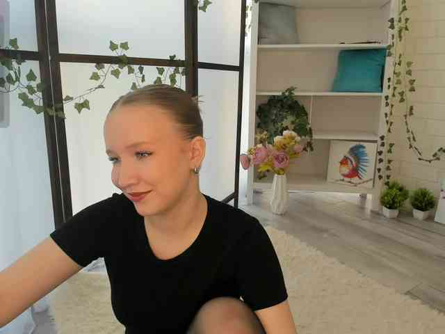 EvaSweet webcam