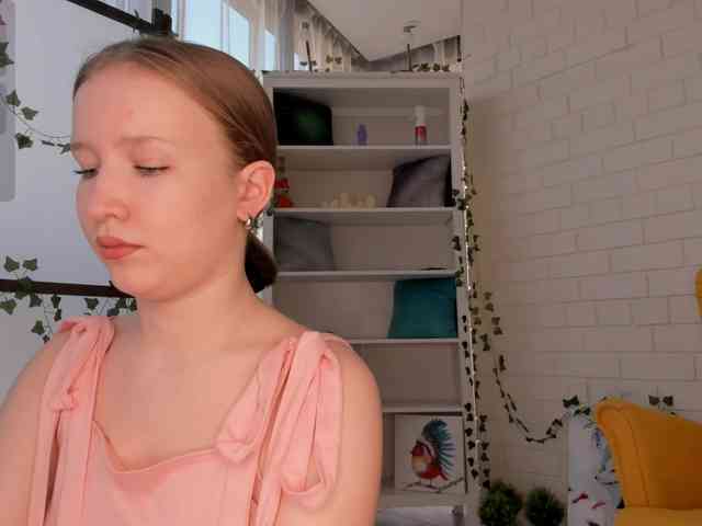 EvaSweet webcam
