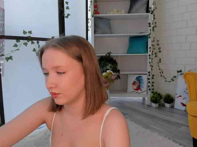 EvaSweet webcam