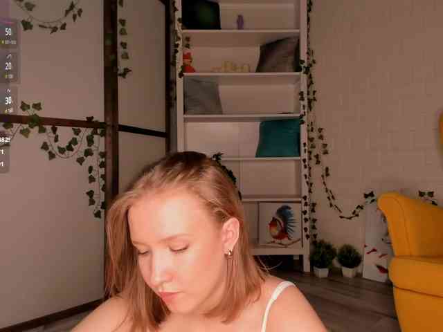 EvaSweet webcam