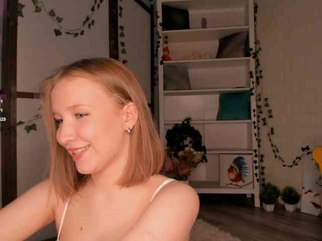 EvaSweet webcam