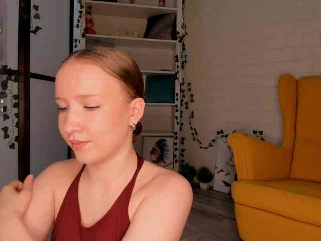 EvaSweet webcam