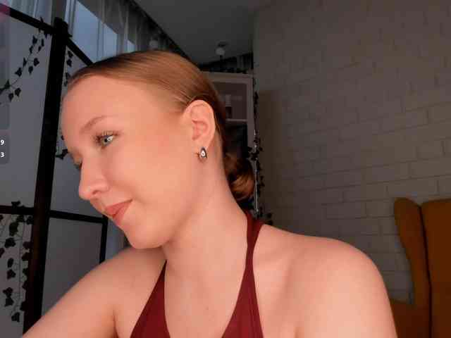 EvaSweet webcam