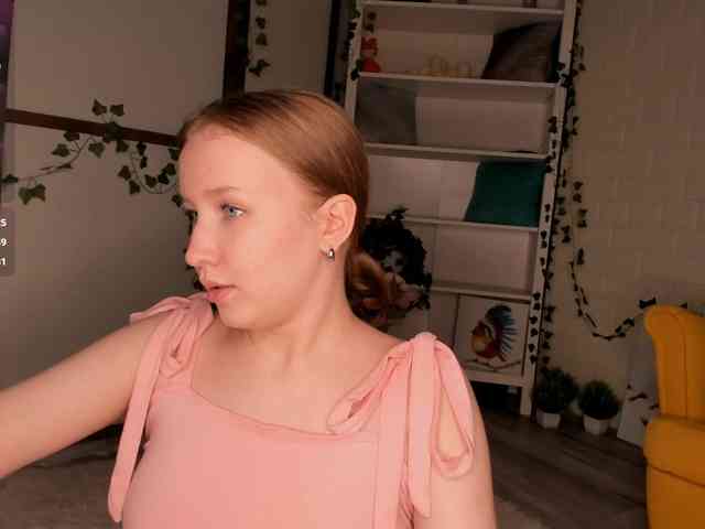 EvaSweet webcam