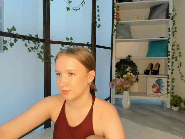 EvaSweet webcam