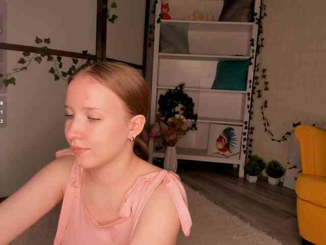 EvaSweet webcam