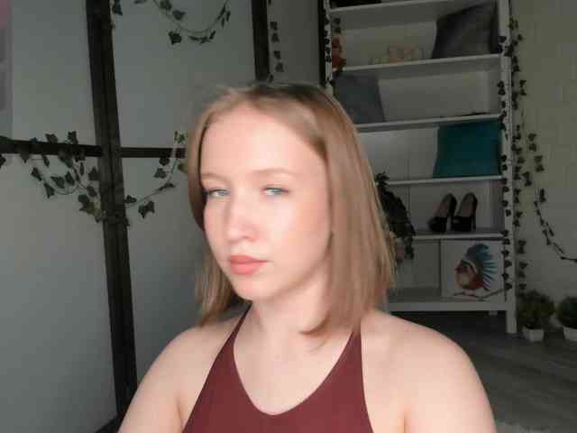 EvaSweet webcam