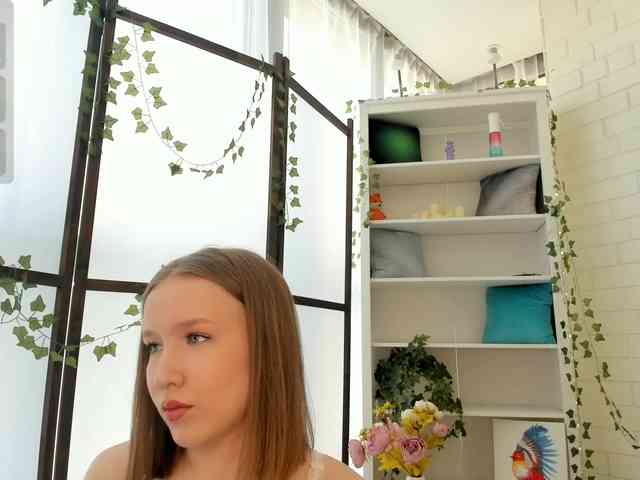 EvaSweet webcam