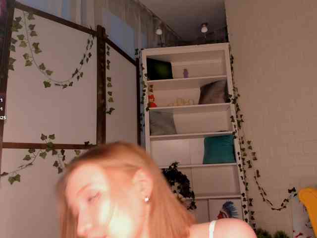 EvaSweet webcam