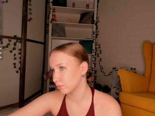 EvaSweet webcam