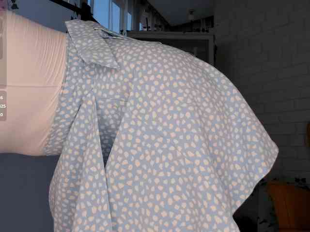 EvaSweet webcam