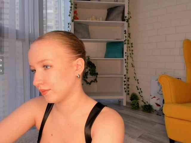 EvaSweet webcam