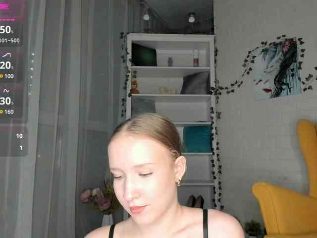 EvaSweet webcam