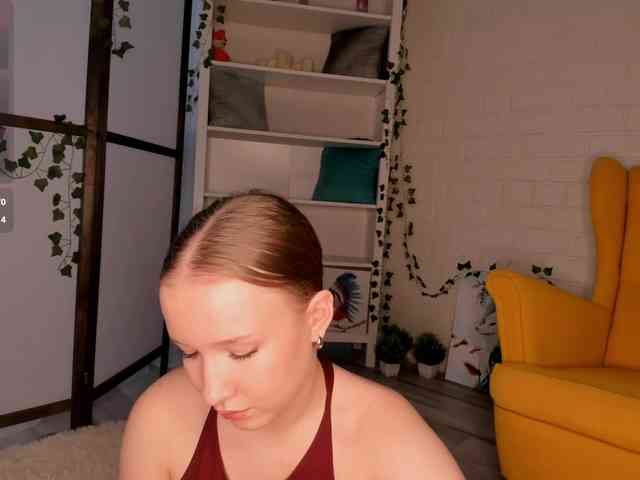 EvaSweet webcam