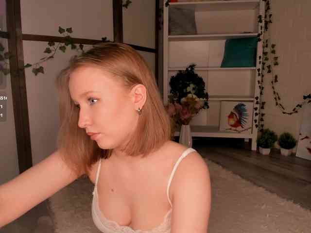 EvaSweet webcam