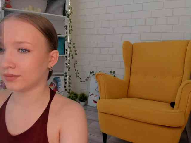 EvaSweet webcam