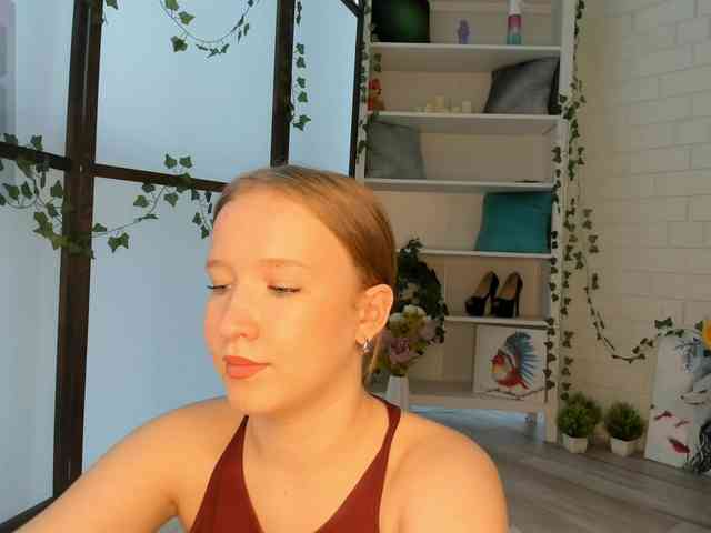 EvaSweet webcam