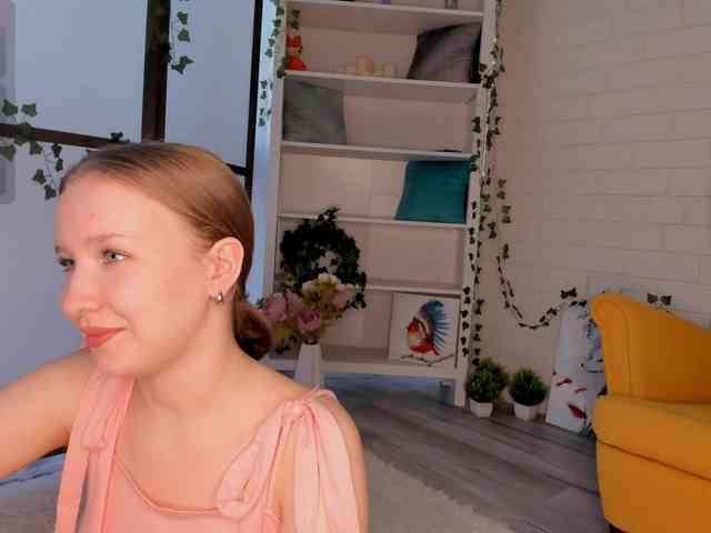 EvaSweet webcam