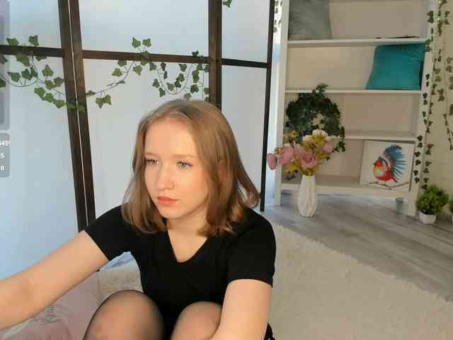 EvaSweet webcam