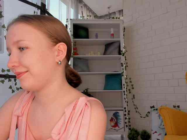 EvaSweet webcam