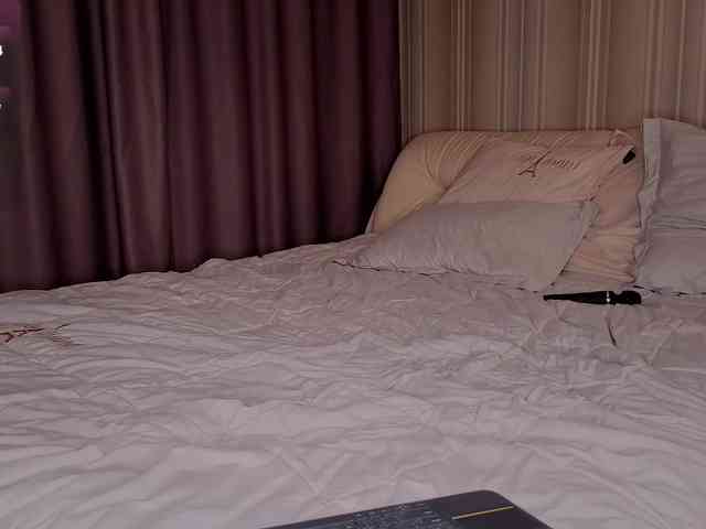 EvaSweet webcam