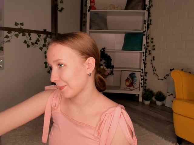 EvaSweet webcam