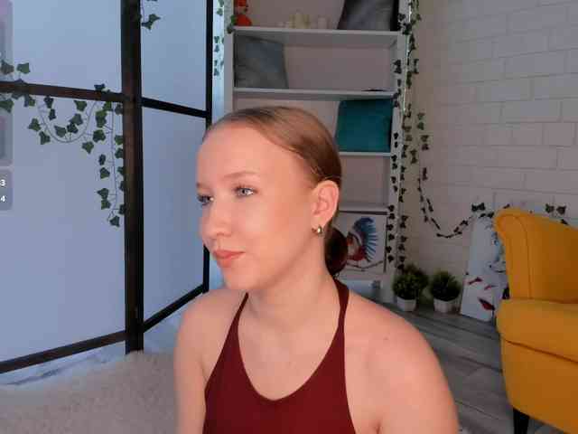 EvaSweet webcam