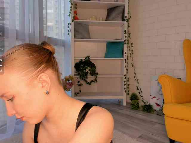 EvaSweet webcam
