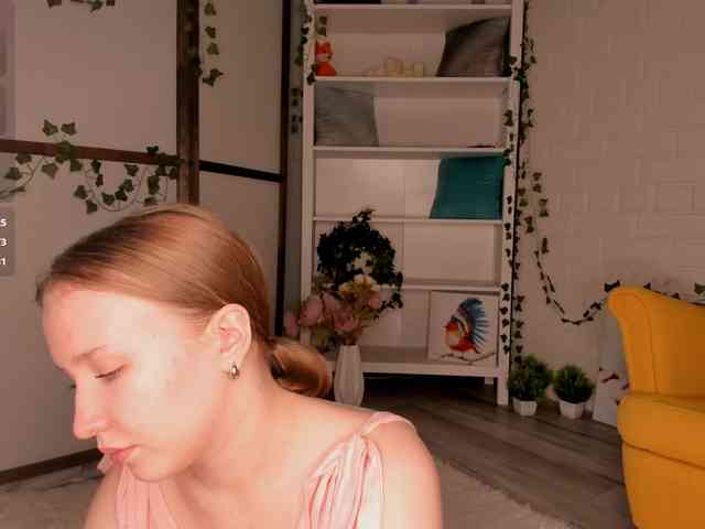 EvaSweet webcam