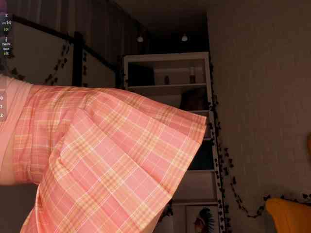 EvaSweet webcam