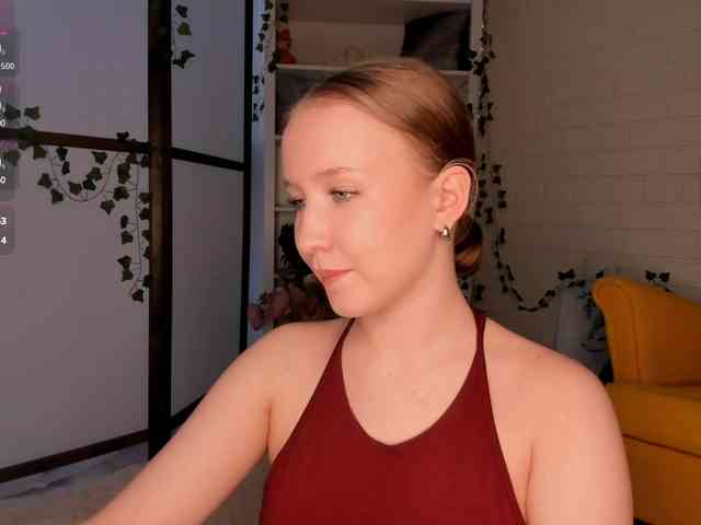 EvaSweet webcam