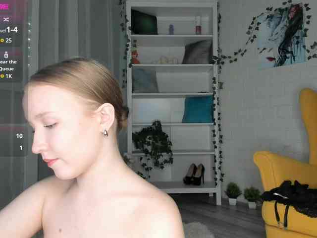 EvaSweet webcam