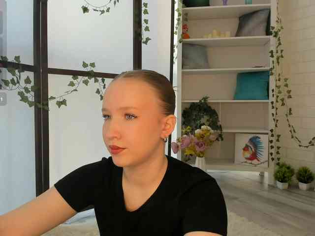 EvaSweet webcam