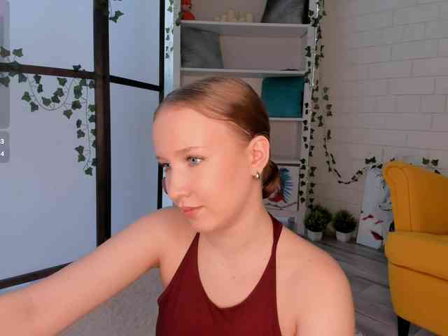 EvaSweet webcam
