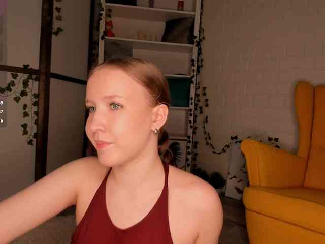 EvaSweet webcam