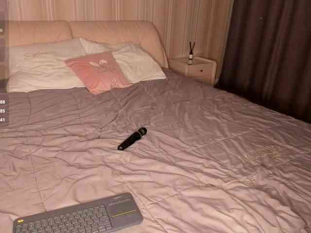 EvaSweet webcam
