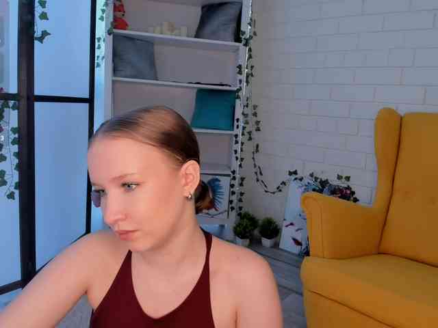 EvaSweet webcam