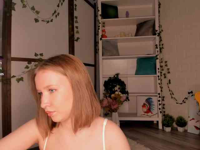EvaSweet webcam