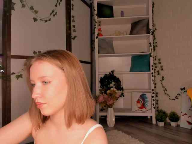 EvaSweet webcam