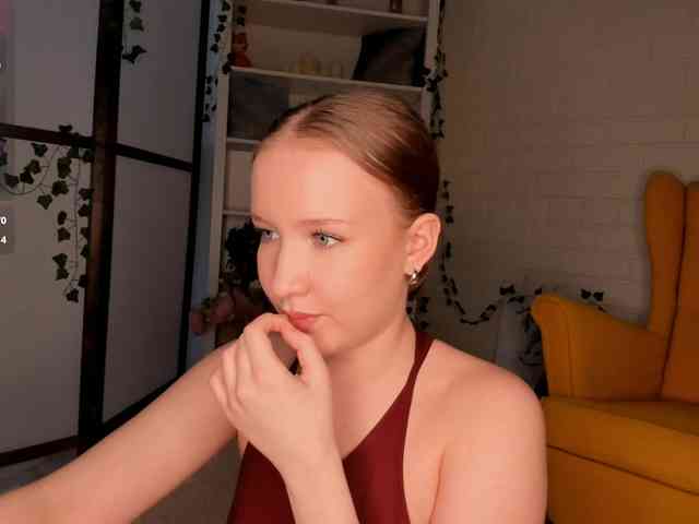 EvaSweet webcam