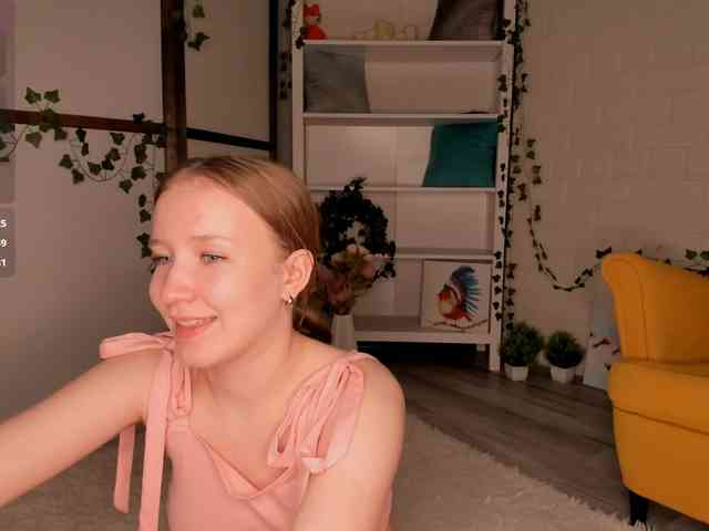 EvaSweet webcam